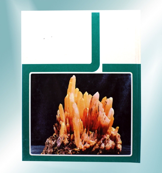 Walt Disney Enzyklopädie "Unsere Welt in 1000 Bildern": Die Schätze unseres Planeten